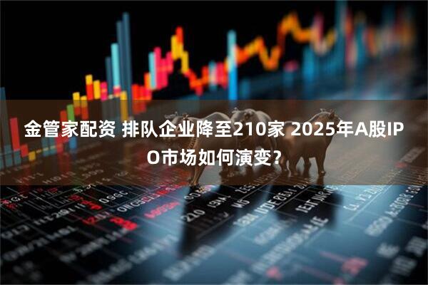 金管家配资 排队企业降至210家 2025年A股IPO市场如何演变？