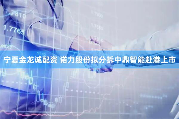宁夏金龙诚配资 诺力股份拟分拆中鼎智能赴港上市