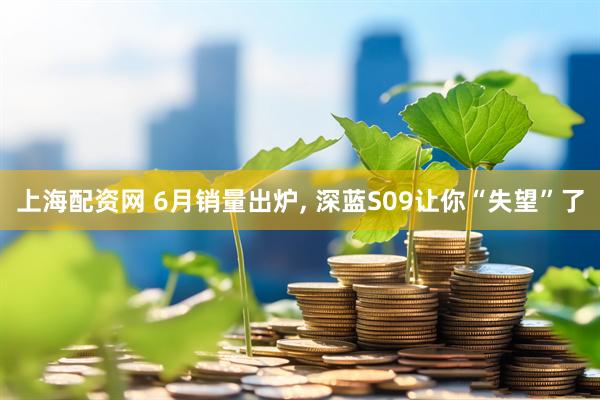 上海配资网 6月销量出炉, 深蓝S09让你“失望”了