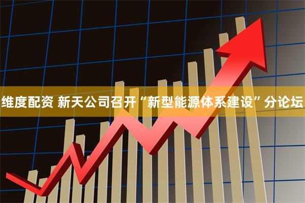 维度配资 新天公司召开“新型能源体系建设”分论坛