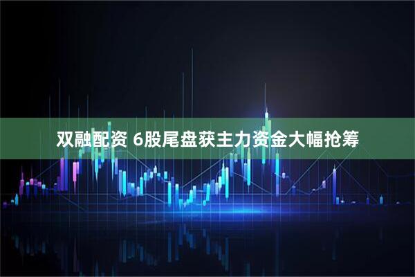 双融配资 6股尾盘获主力资金大幅抢筹